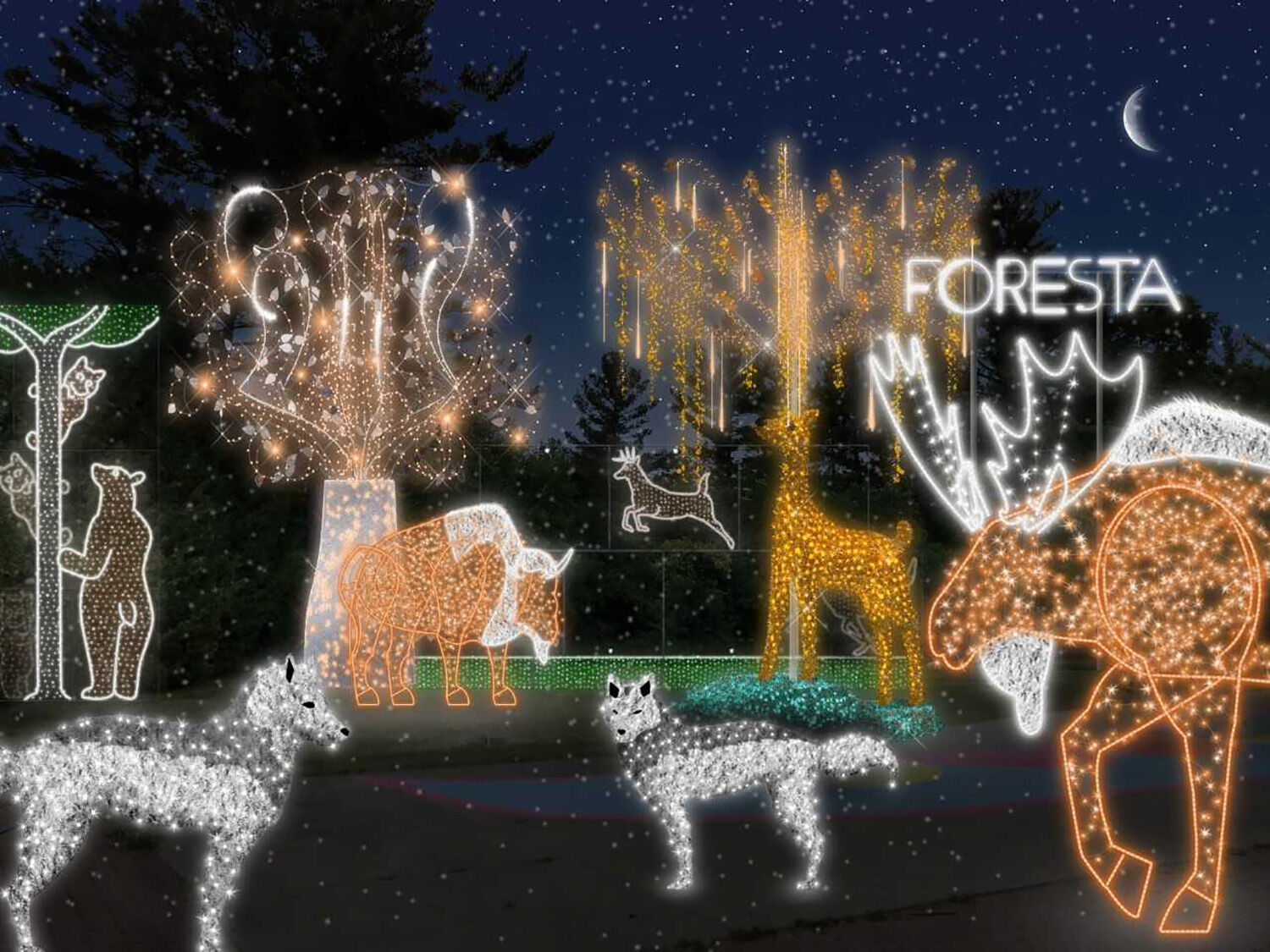 Parc Safari celebrates its 50th anniversary